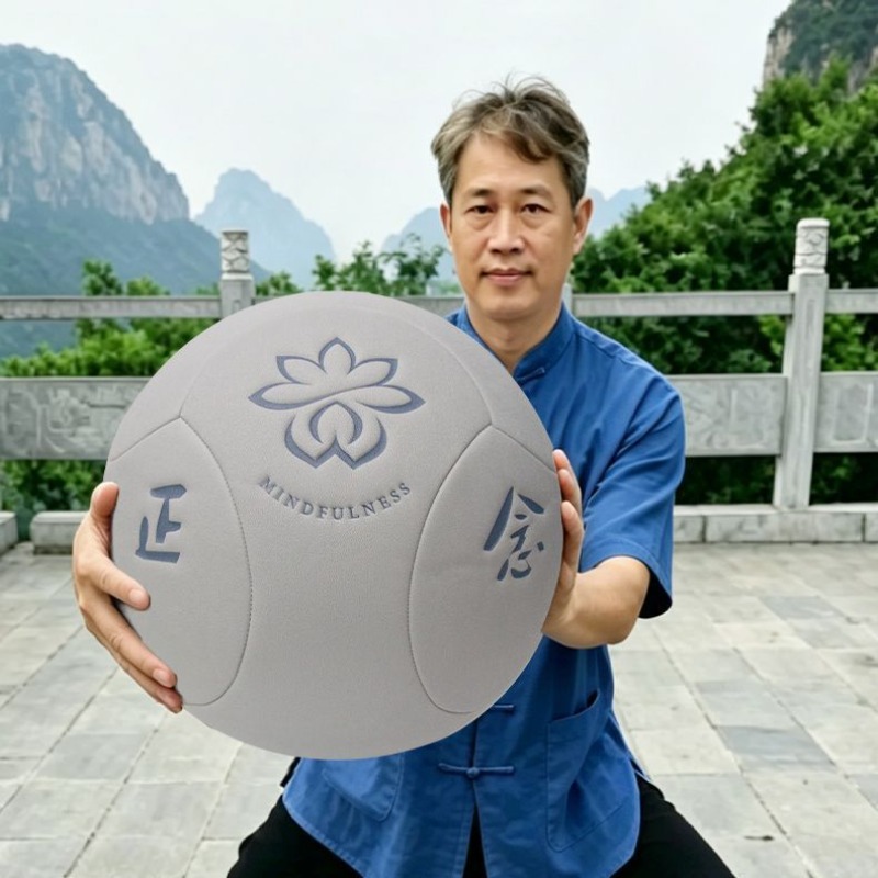 Yoga Health & Fitness Center - Grote draagbare Tai Chi-gezondheidsbal voor Kung